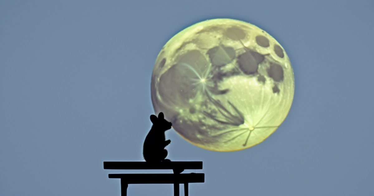 full_moon_and_a_mouse