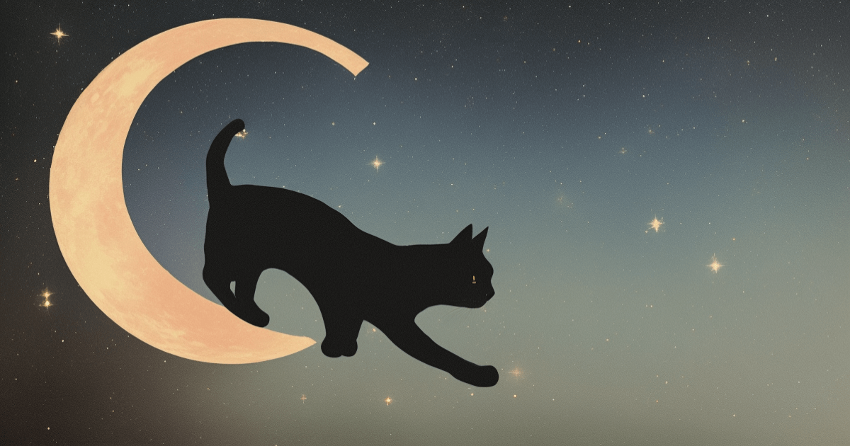 cat_on_crescent_moon