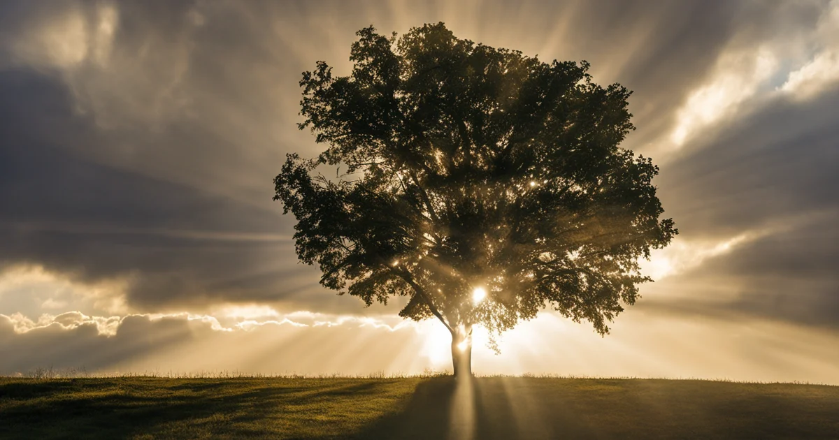 sunlight_shining_through_the_cloud