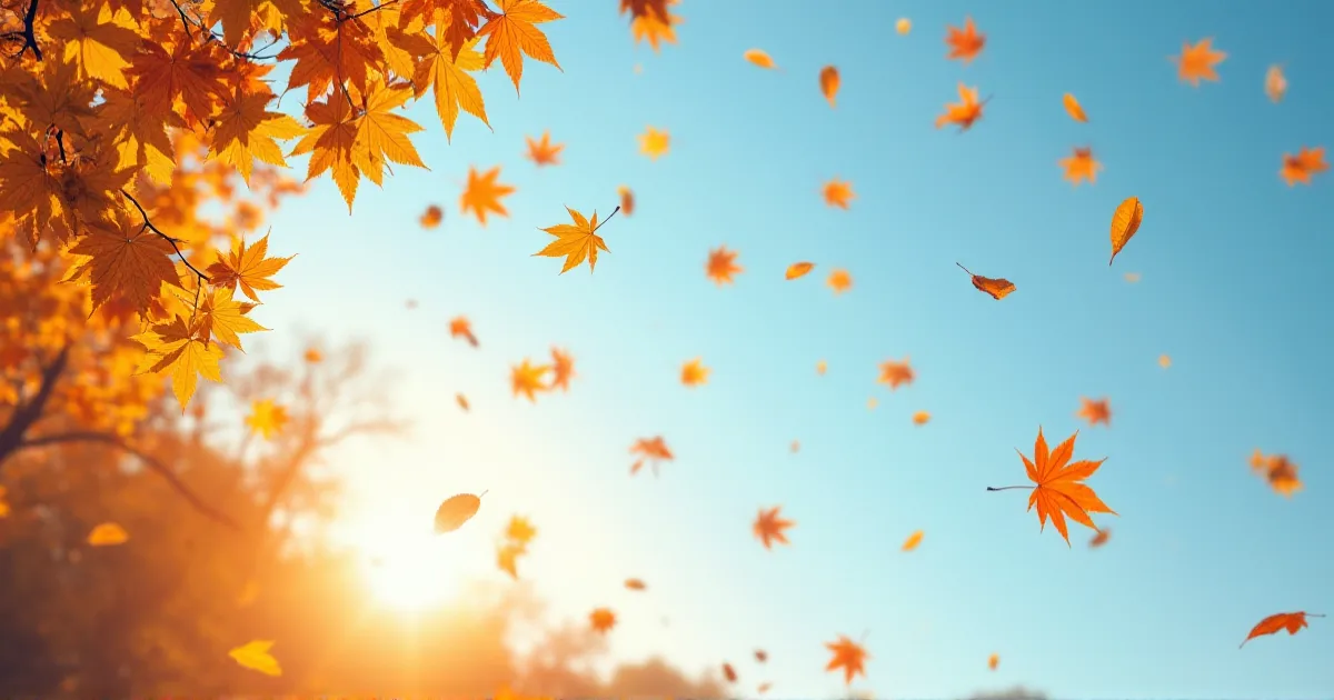 Fallen_leaves_dancing